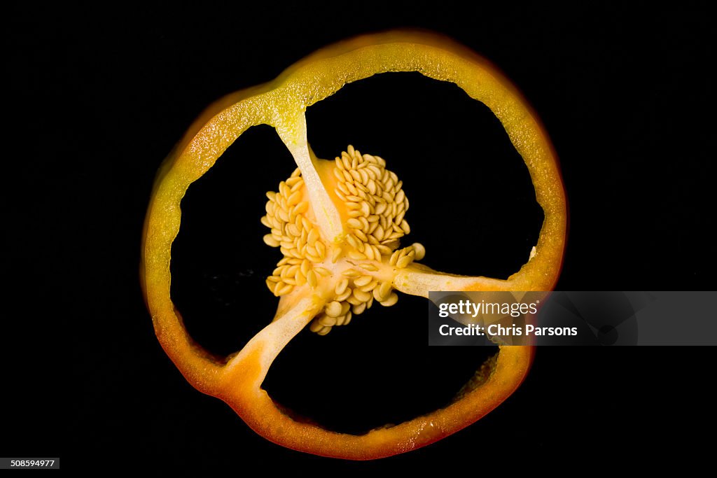 Slice of a colorful bell pepper