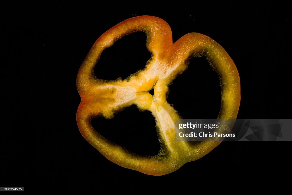 Slice of a colorful bell pepper