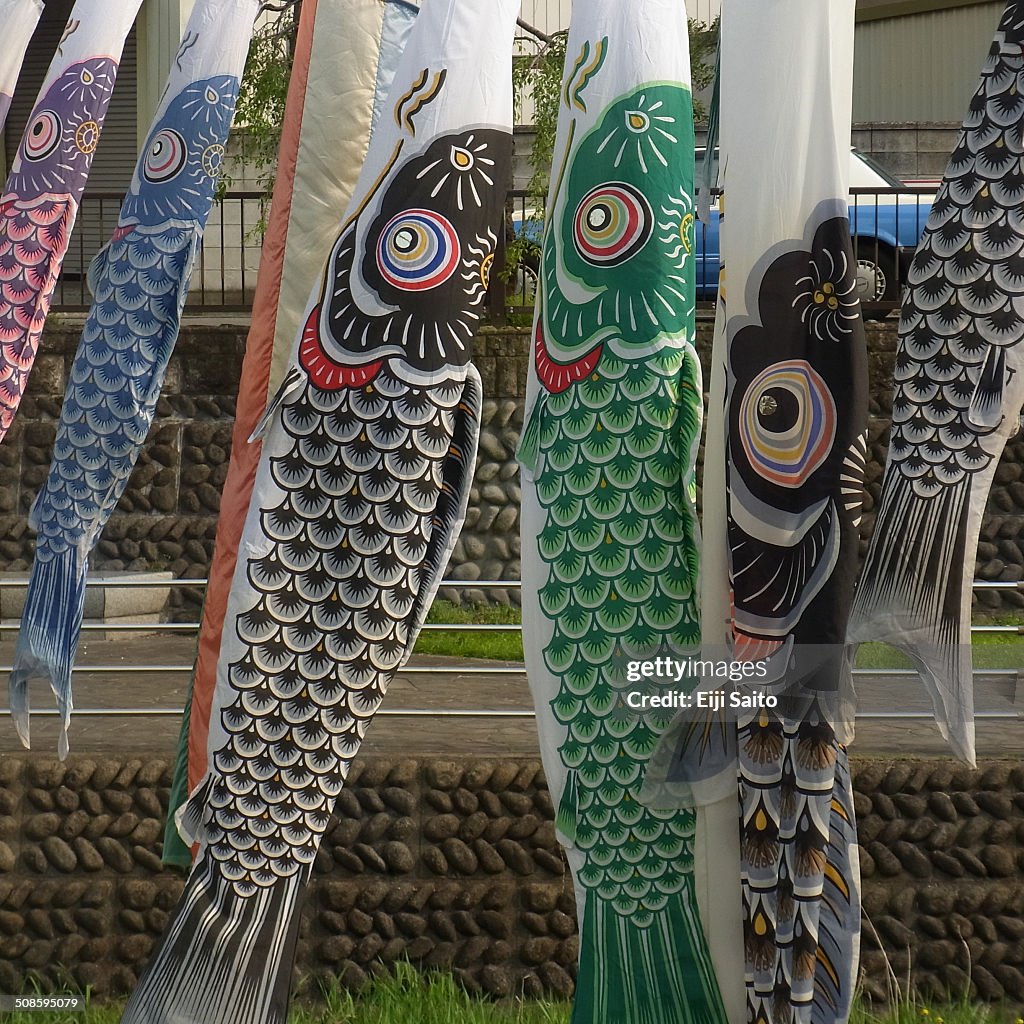 The carp streamer - koinobori