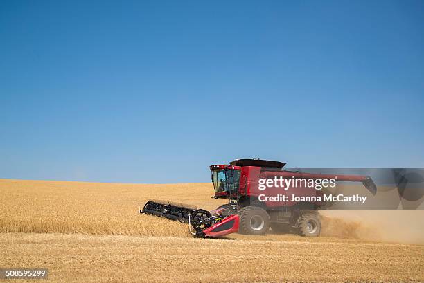 harvester - mähdrescher stock-fotos und bilder