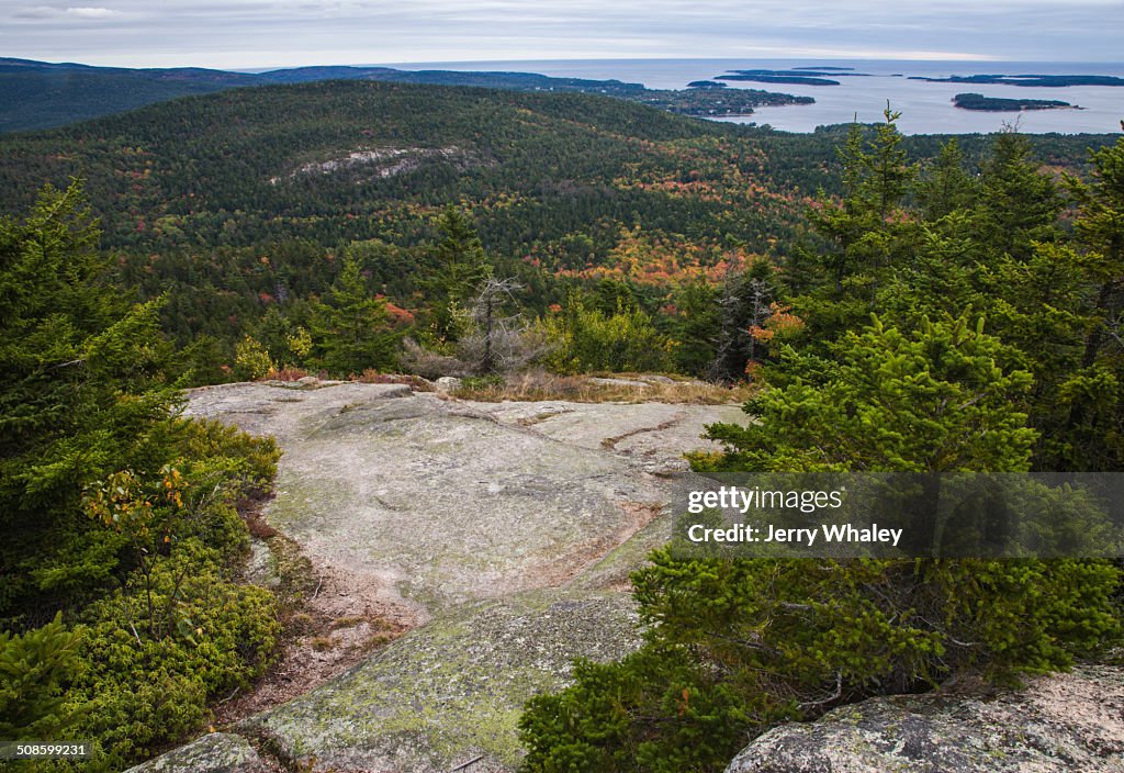 Beech Mtn Trail, Acadia