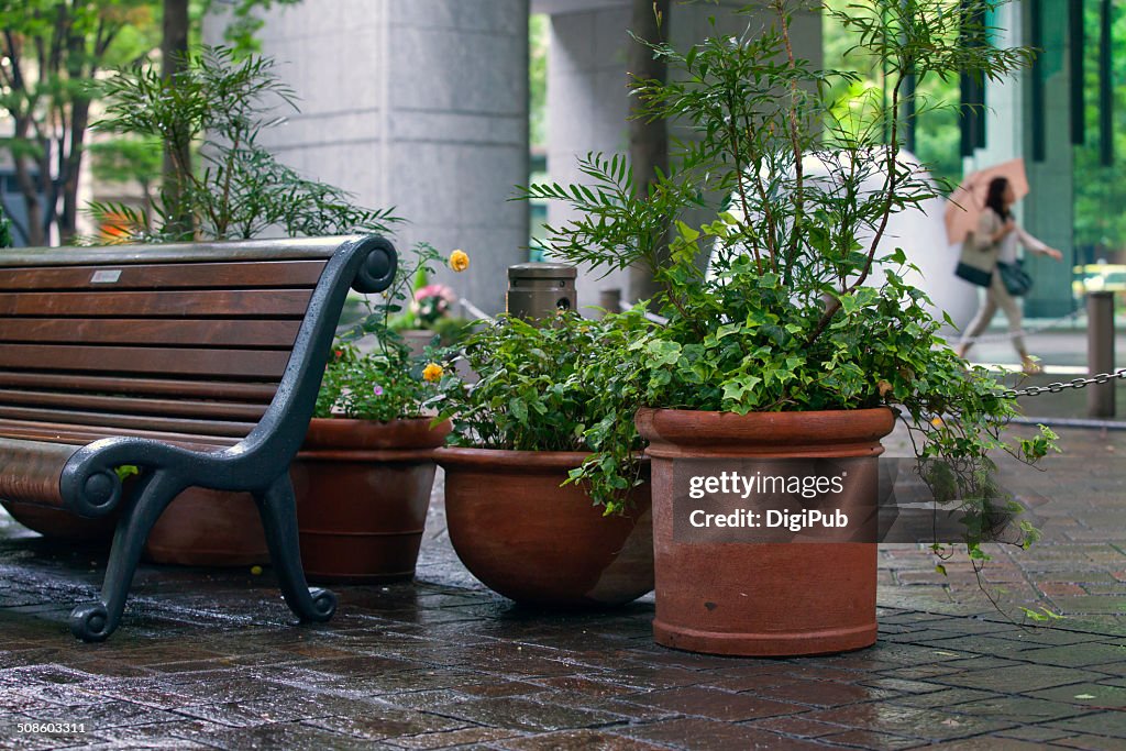 Planters and bench