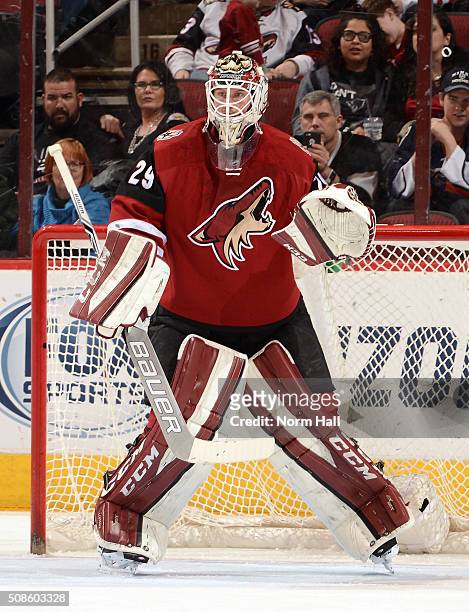 Anders Lindback of the Arizona Coyotes gets ready to make a save against the Los Angeles Kings at Gila River Arena on February 2, 2016 in Glendale,...