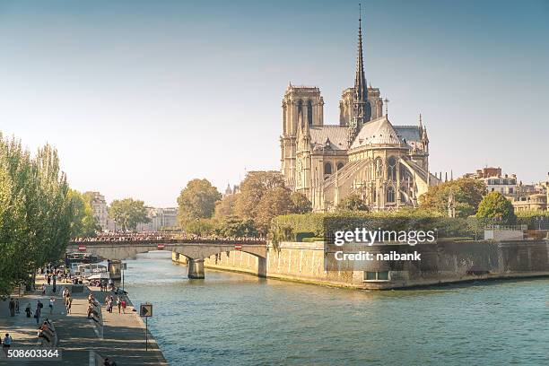 notre dame de paris at sunset - notre dame fotografías e imágenes de stock