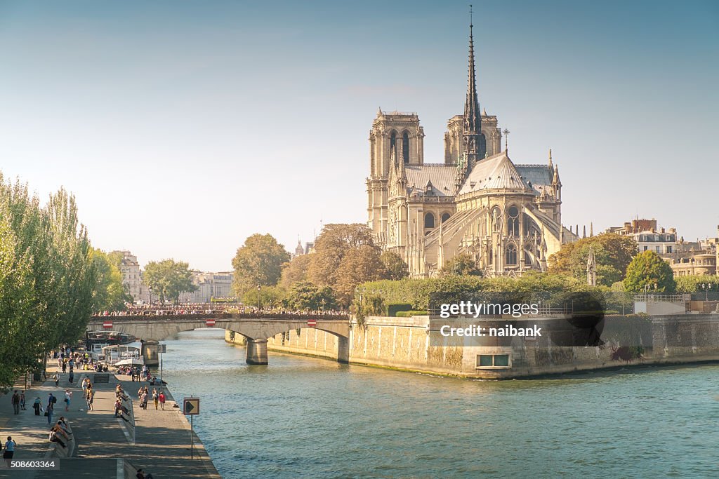 Notre dame de Paris at sunset