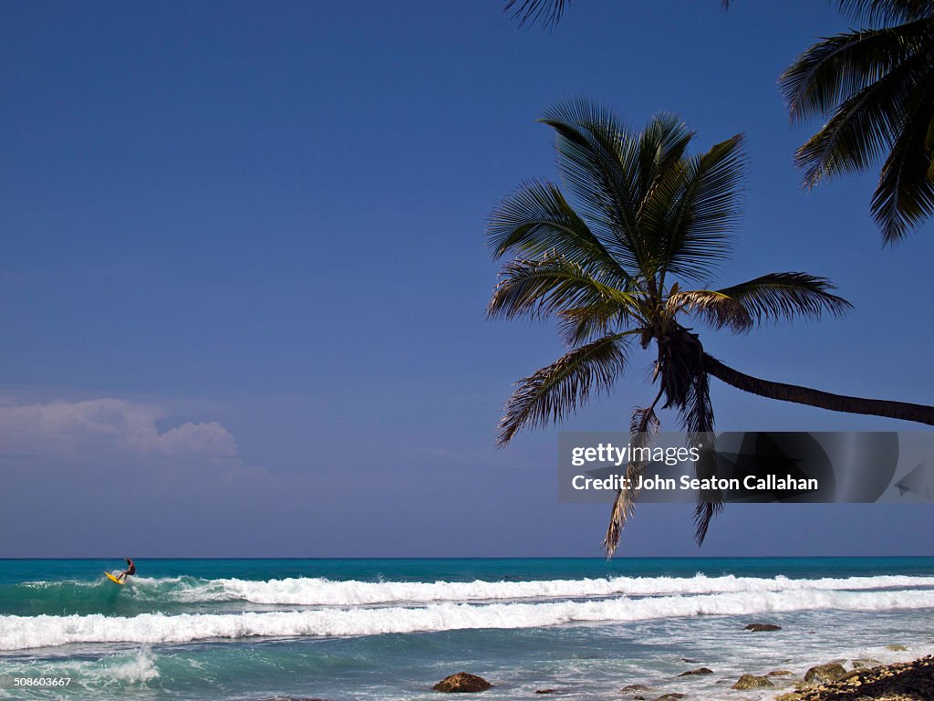 Surfing in the Caribbean Sea