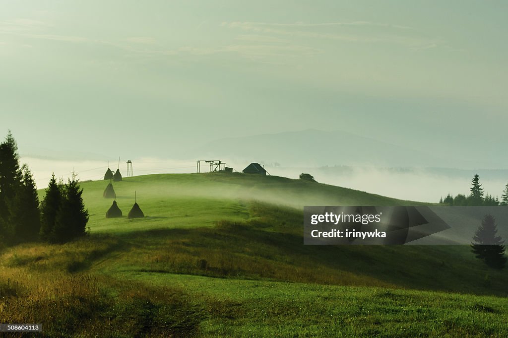 Paysage d'été avec l'herbe verte et de foggy hills.