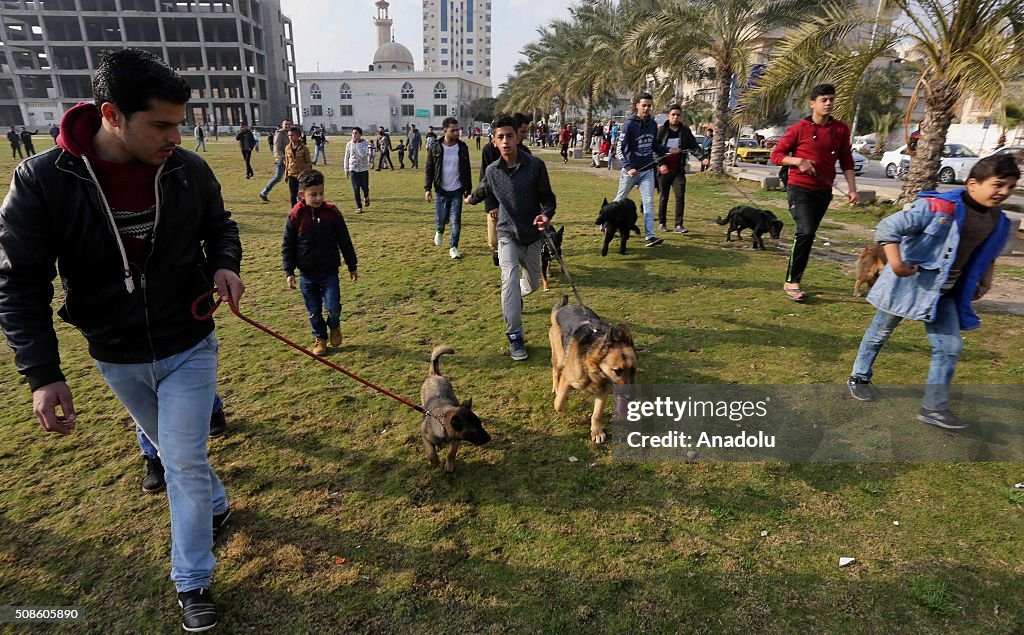 Palestinian animal lovers host an event in Gaza