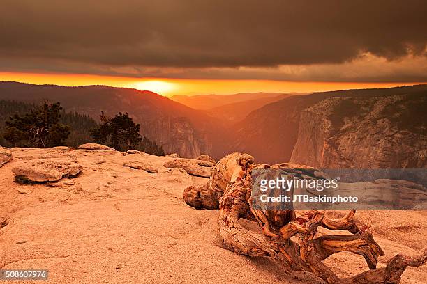 sunset atop sentinel dome - pinus jeffreyi stock pictures, royalty-free photos & images