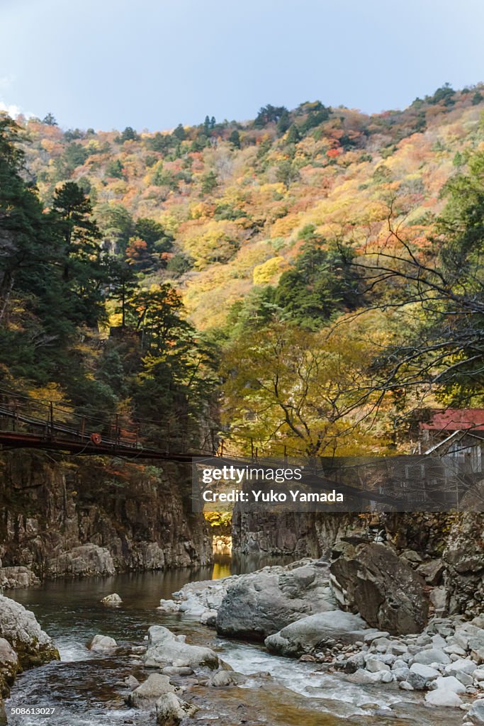 Autumn view of Near Kurobuchi in Sandankyo Gorge