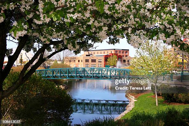 downtown kalamazoo michigan - kalamazoo stock pictures, royalty-free photos & images