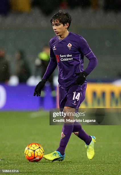 Matias Fernandez of Fiorentina during the Serie A match between ACF Fiorentina and Carpi FC at Stadio Artemio Franchi on February 3, 2016 in...