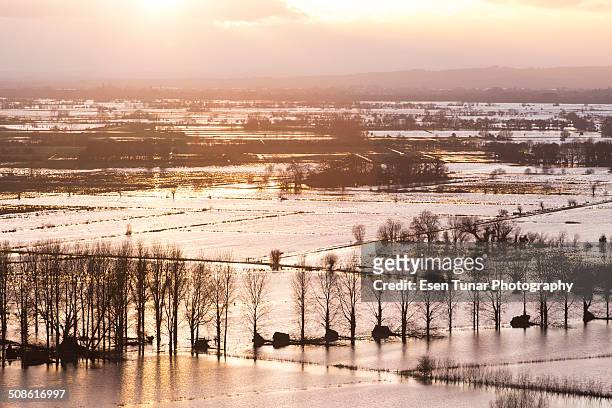 somerset levels during winter floods - planície de somerset imagens e fotografias de stock