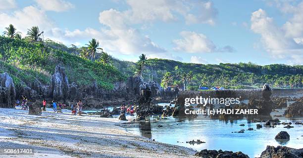 a day on a rocky beach | nauru - nauru stock pictures, royalty-free photos & images