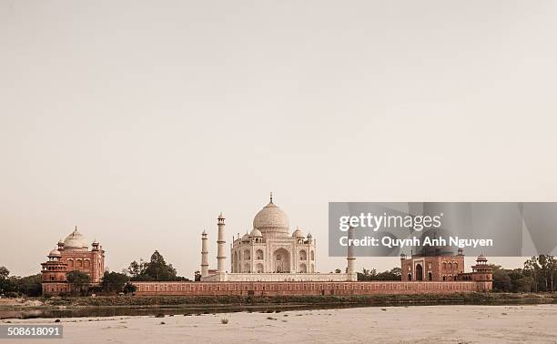 taj mahal, india - yamuna river stock pictures, royalty-free photos & images