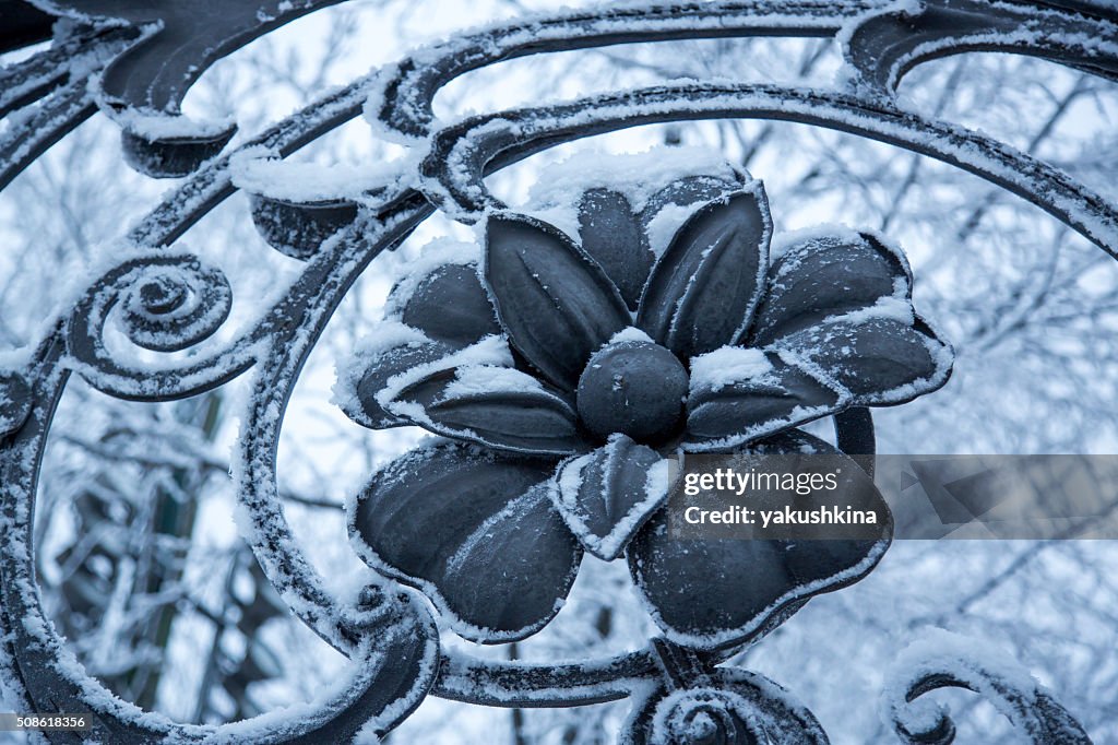 Old beautiful cast iron fence flower