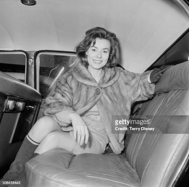 British actress, Anne Heywood, arrives at London Airport , London, 13th December 1964.