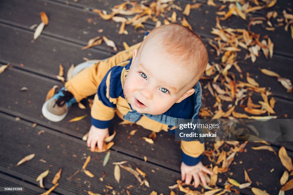 Pequeño bebé jugando con hojas de otoño en un piso de madera