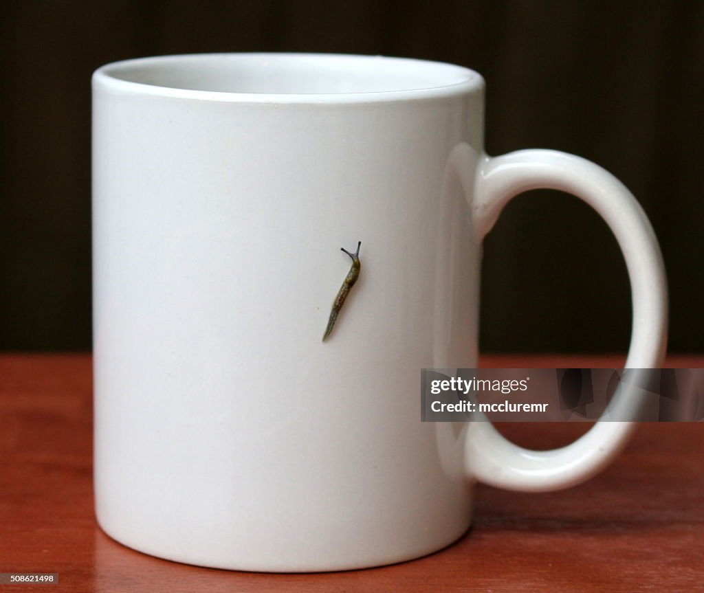 Slug Mug
