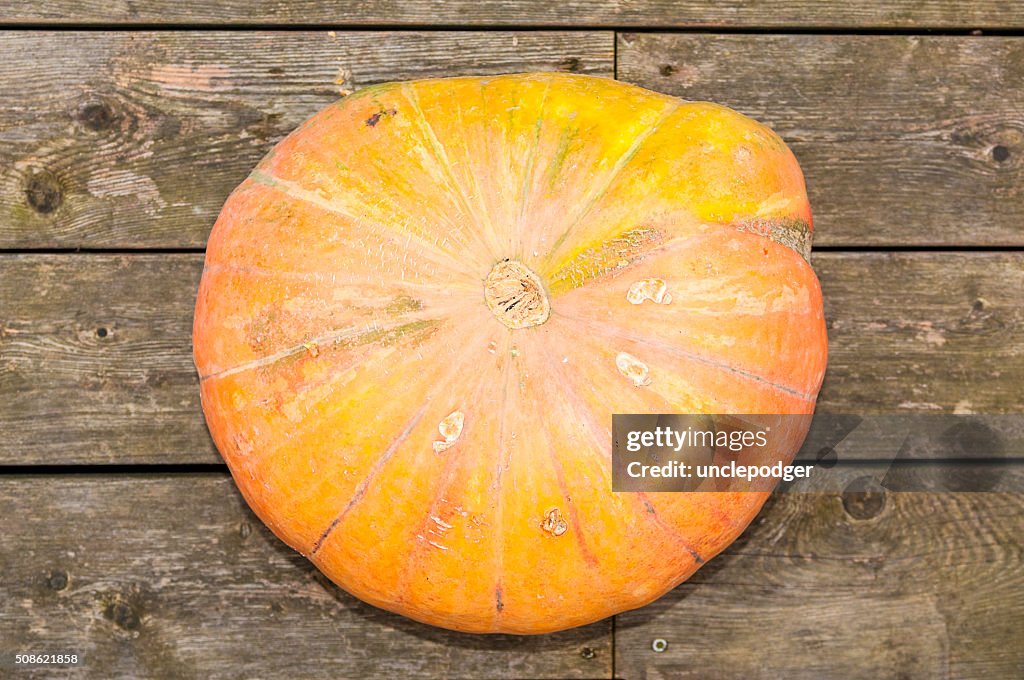 Pumpkin on wooden background