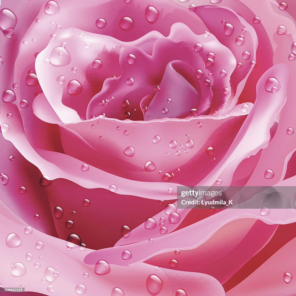 Rose Vector Background For Your Design High-Res Vector Graphic - Getty ...