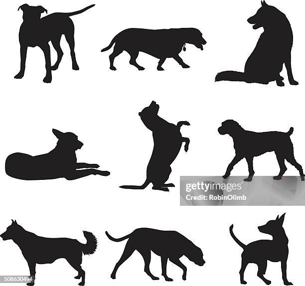 stockillustraties, clipart, cartoons en iconen met dog silhouettes set - liggen