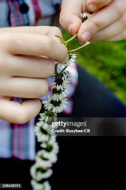 daisy chain - daisy chain stock pictures, royalty-free photos & images