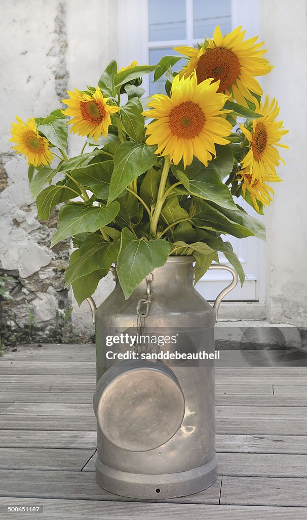 Sunflowers in a milk can