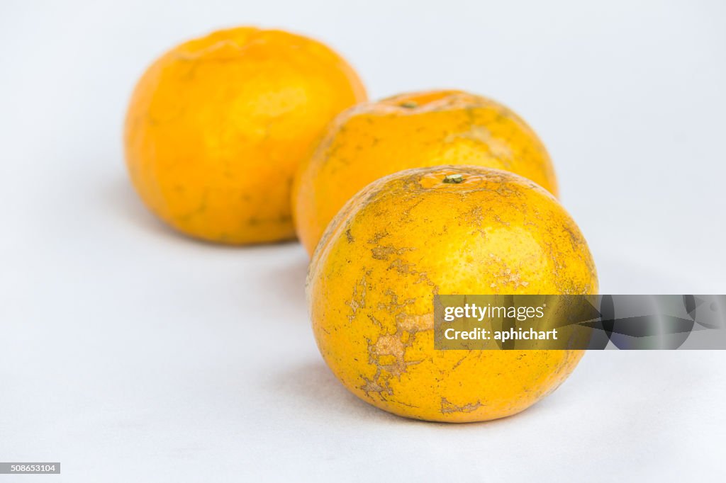 Frische Orange saubere Obst