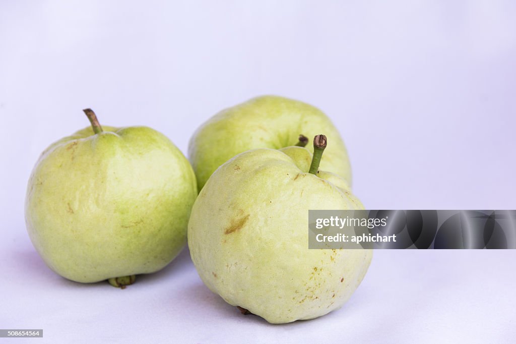 Frische grüne Guave saubere Obst