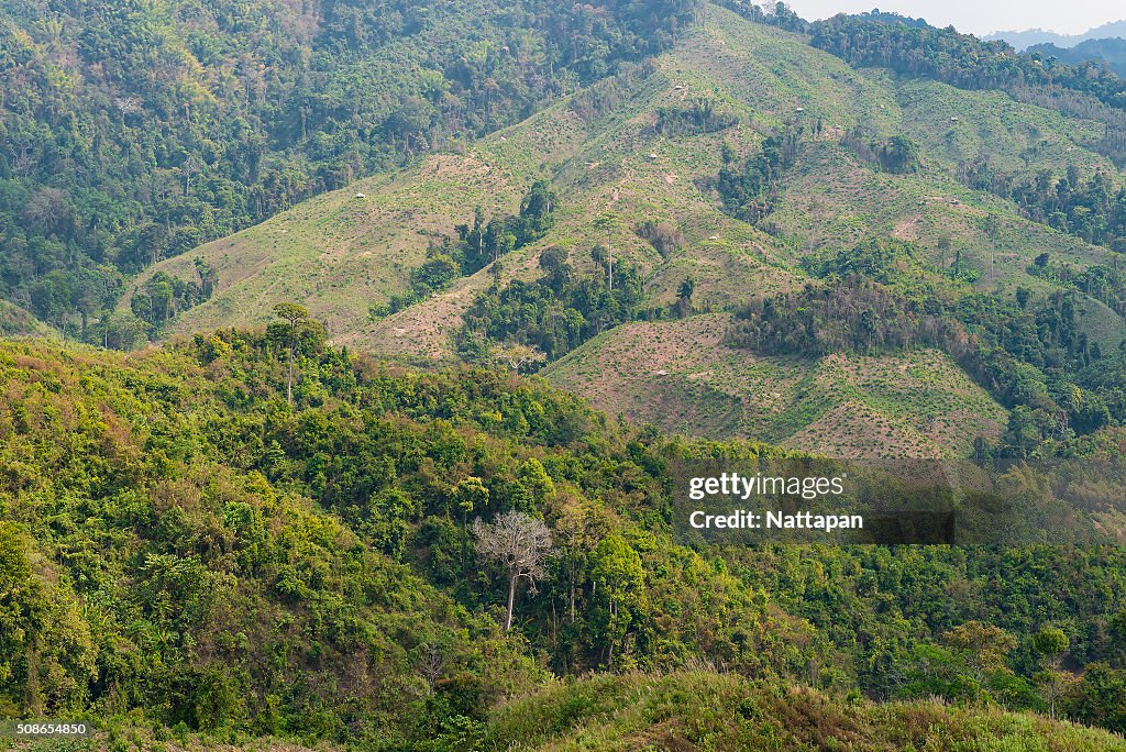 Mountain in north of thailand.