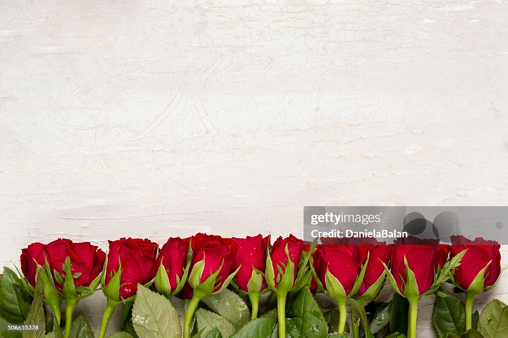 Red roses on white background.Valentines Day background.Happy mother's day.
