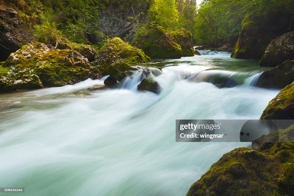 Wild cascade in Bayern-Deutschland