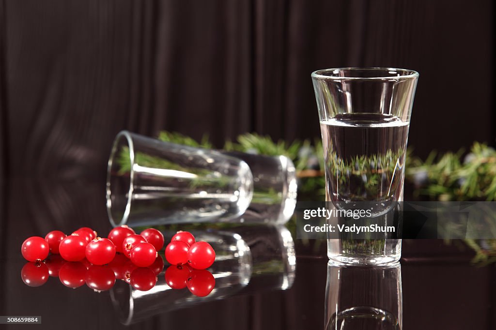 Composition of two glasses with alcohol and red berries cranberries