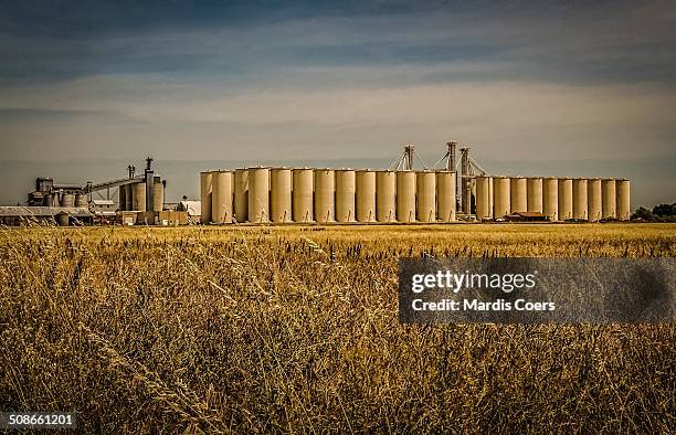 Big Rice Strorage 222 Rice Storage Container Stock Photos, High-Res Pictures, and Images ...