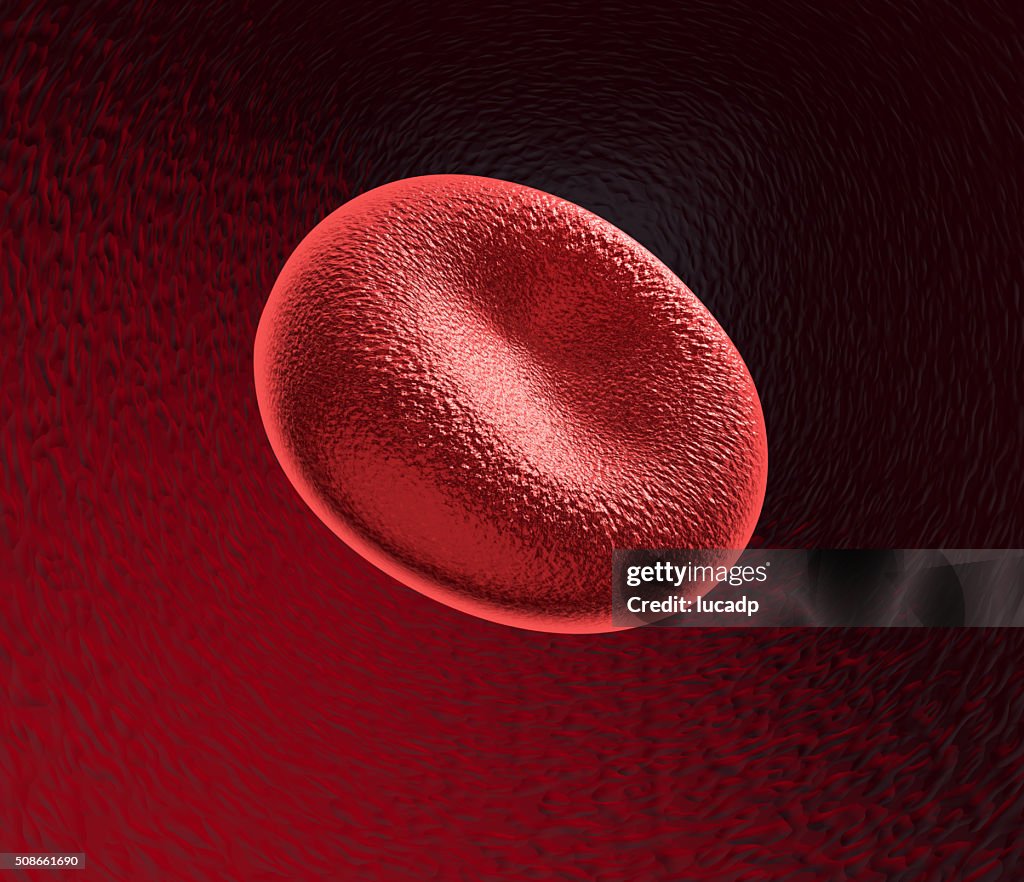 Red blood cell