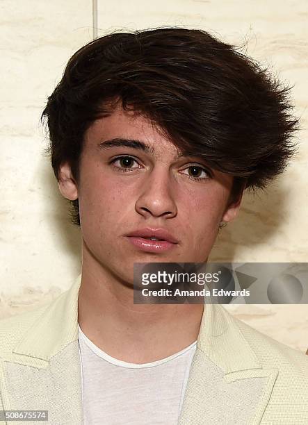 Dylan Lee attends the Los Angeles special screening and reception of "Connected" at Milk Studios on February 5, 2016 in Los Angeles, California.