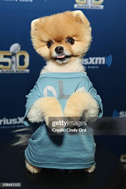 Jiffpom visits the SiriusXM set at Super Bowl 50 Radio Row at the Moscone Center on February 5, 2016 in San Francisco, California.