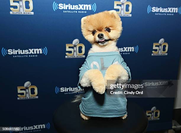Jiffpom visits the SiriusXM set at Super Bowl 50 Radio Row at the Moscone Center on February 5, 2016 in San Francisco, California.