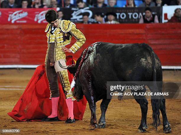 Bullfighter Injuries Bull Fighting Injury Photos and Premium High Res Pictures - Getty Images