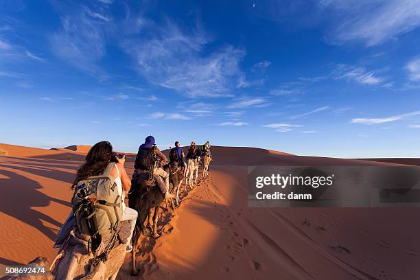 camel caravan going through the sand dunes in the sahara desert, morocco. - tourist group foto e immagini stock