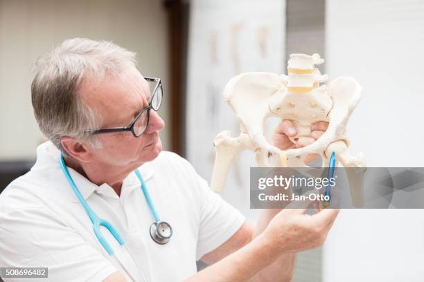 doctor pointing at hip joint - pelvis stock pictures, royalty-free photos & images