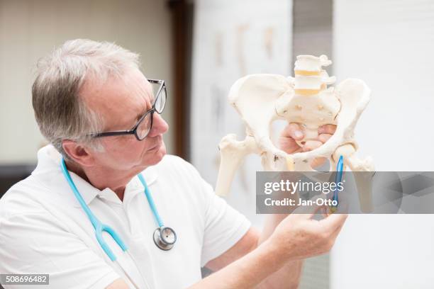 doctor pointing at hip joint - 退化性關節炎 個照片及圖片檔