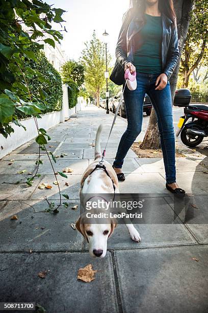 woman walking with dog in early sunday morning in london - the 2016 notting hill carnival stock pictures, royalty-free photos & images