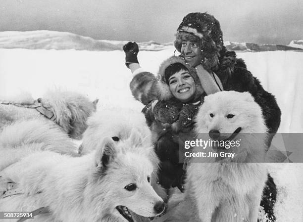 Actors Jerry Lewis and Jacqueline Pearce filming a snow scene, complete with sled dogs, for the film 'Don't Raise the Bridge, Lower the Bridge', at...