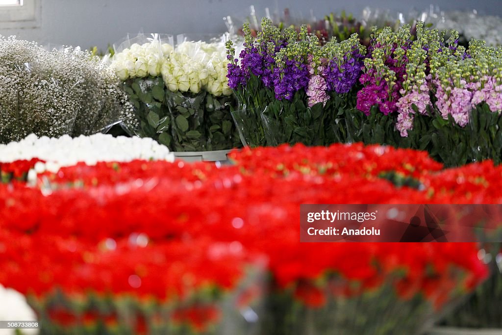 Turkey's rose growers