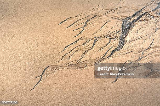 erosion pattarn on the sand - erosion stock pictures, royalty-free photos & images