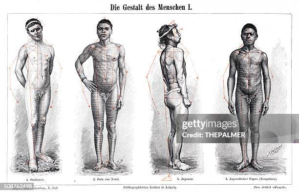 the anatomy form of men 1897 - zulu tribe stock illustrations