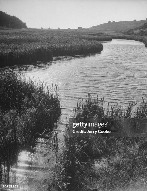 View of a stream in Corn Hill.