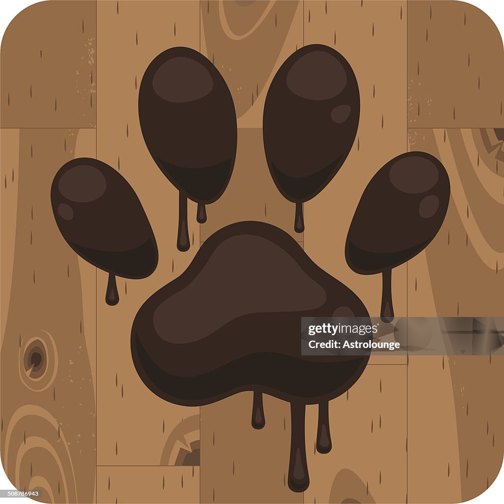 Paw track on the floor